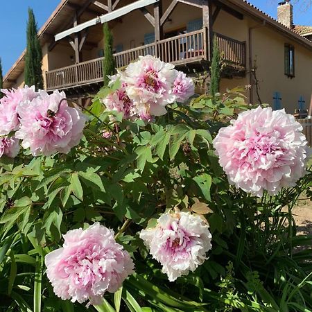Lauberge De Nogaro Caupenne-d'Armagnac Экстерьер фото