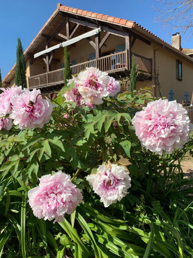 Lauberge De Nogaro Caupenne-d'Armagnac Экстерьер фото