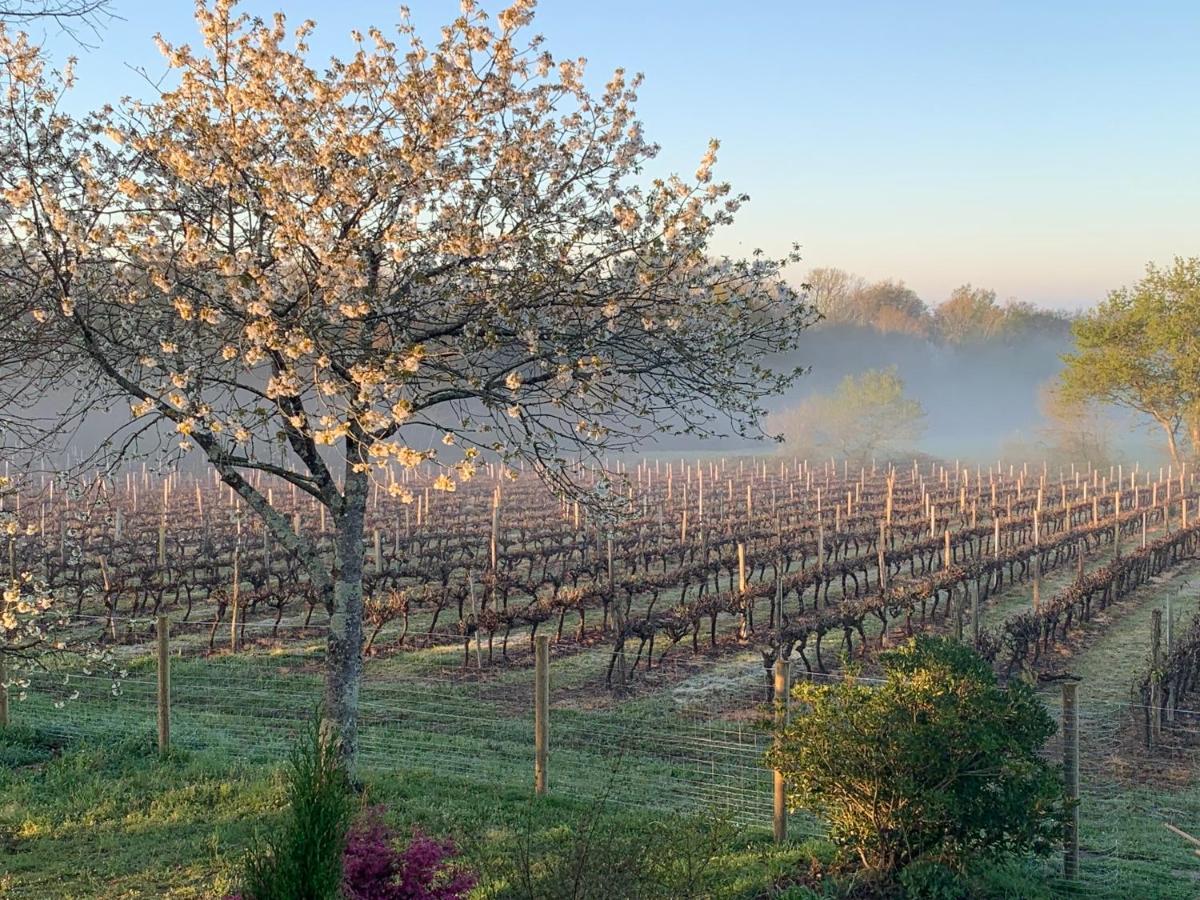 Lauberge De Nogaro Caupenne-d'Armagnac Экстерьер фото